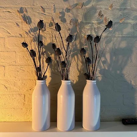 Achterhoekhuisje De Rode Beuk Casa de Férias *