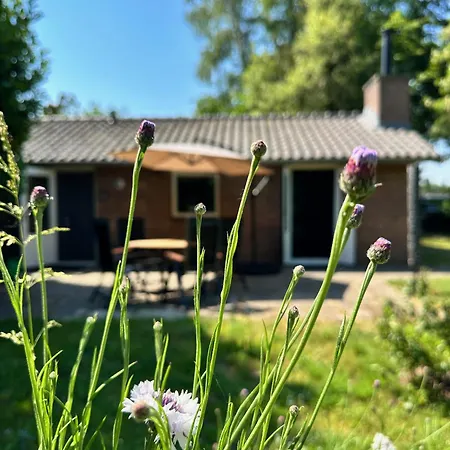 Casa de Férias Achterhoekhuisje De Rode Beuk Hummelo