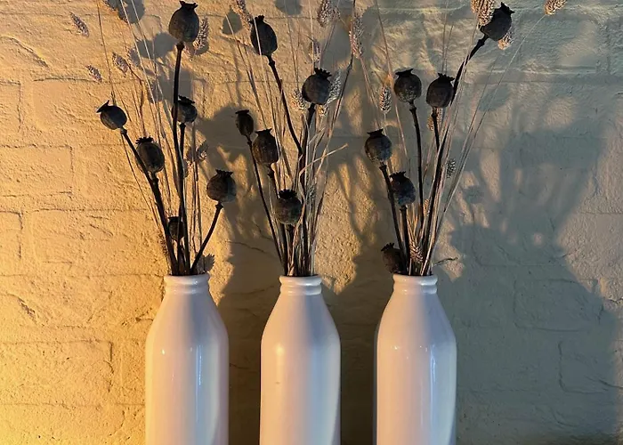 Achterhoekhuisje De Rode Beuk Semesterbostad *