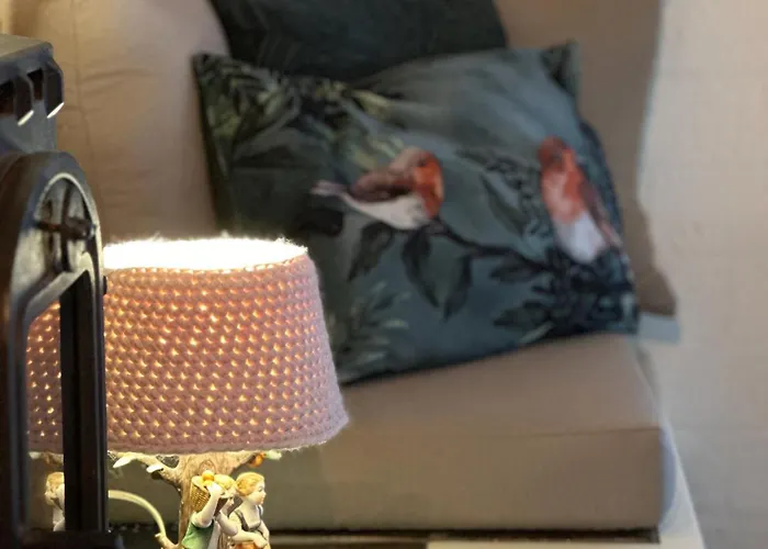 Semesterbostad Achterhoekhuisje De Rode Beuk