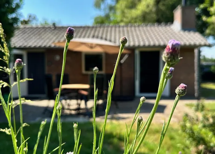 Feriehus Achterhoekhuisje De Rode Beuk Hummelo